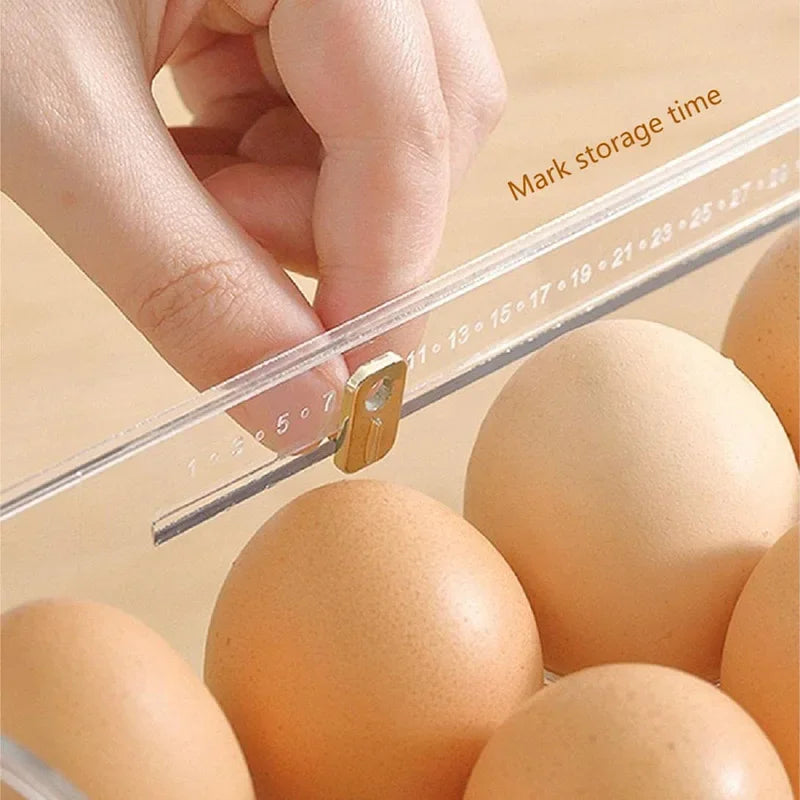 EGG HOLDER